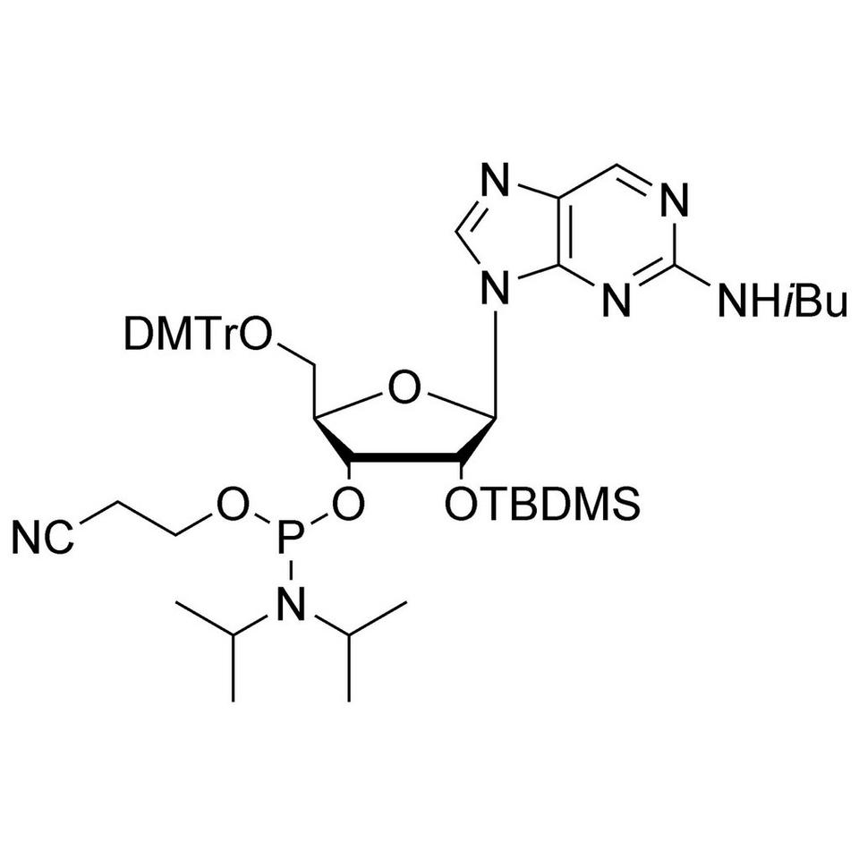 2-Aminopurine Riboside CE-Phosphoramidite, 250 mg, ABI (10 mL / 20 mm Septum)